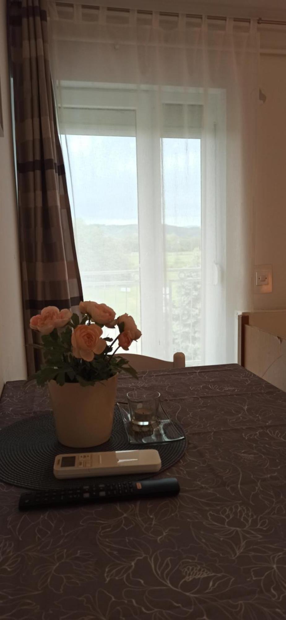 Studio Apartmani Ok Lipik Værelse billede